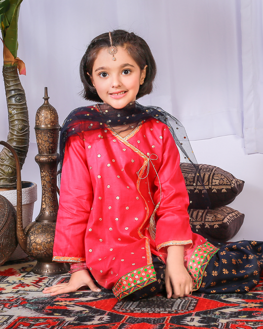 PINK EMB SEQUINS ANGRAKHA CULLOTE SET