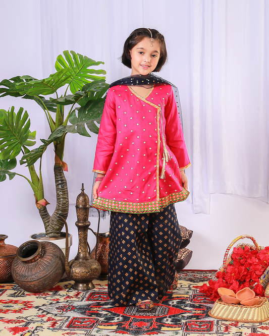 PINK EMB SEQUINS ANGRAKHA CULLOTE SET