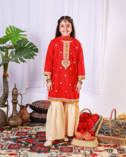 RED PANNI EMB GHARARA SET 2PC