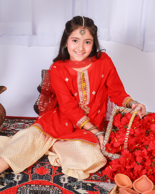 RED PANNI EMB GHARARA SET 2PC